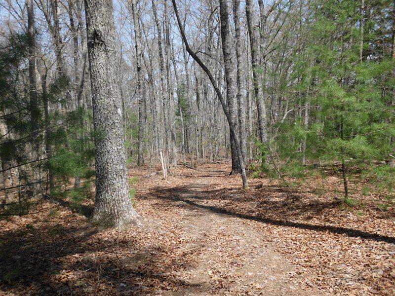 15.26-ac Massingale Road Tellico Plains, TN 37385 - Photo 10 of 21 SANY0030