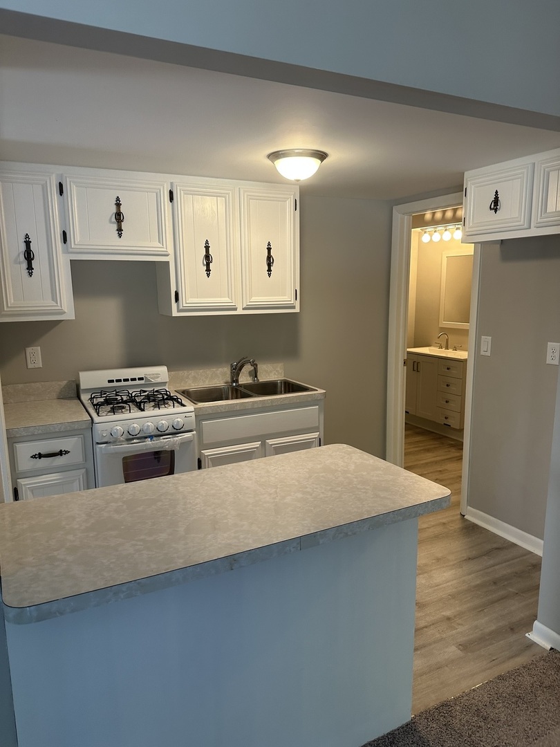 220 North Rosedale Avenue Aurora, IL 60506 - Photo 9 of 10 a kitchen with granite countertop a stove and a refrigerator