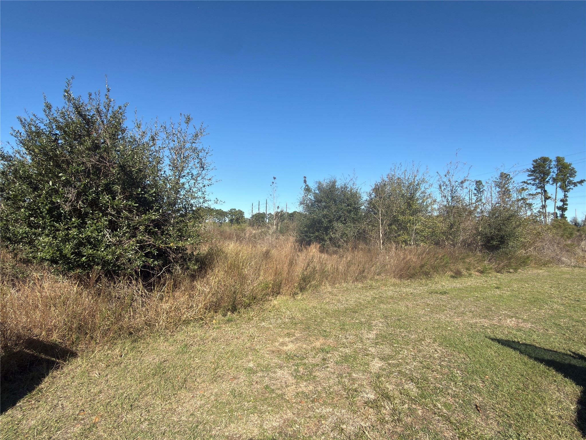 8908 Fm 2920 Spring Spring, TX 77379 - Photo 3 of 7 Gallery Image 3