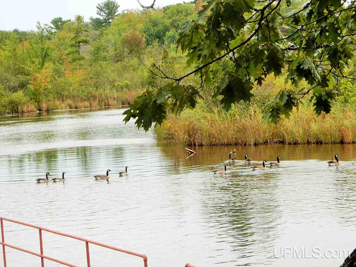 924 North Co Road Manistique, MI 49854 - Photo 4 of 32