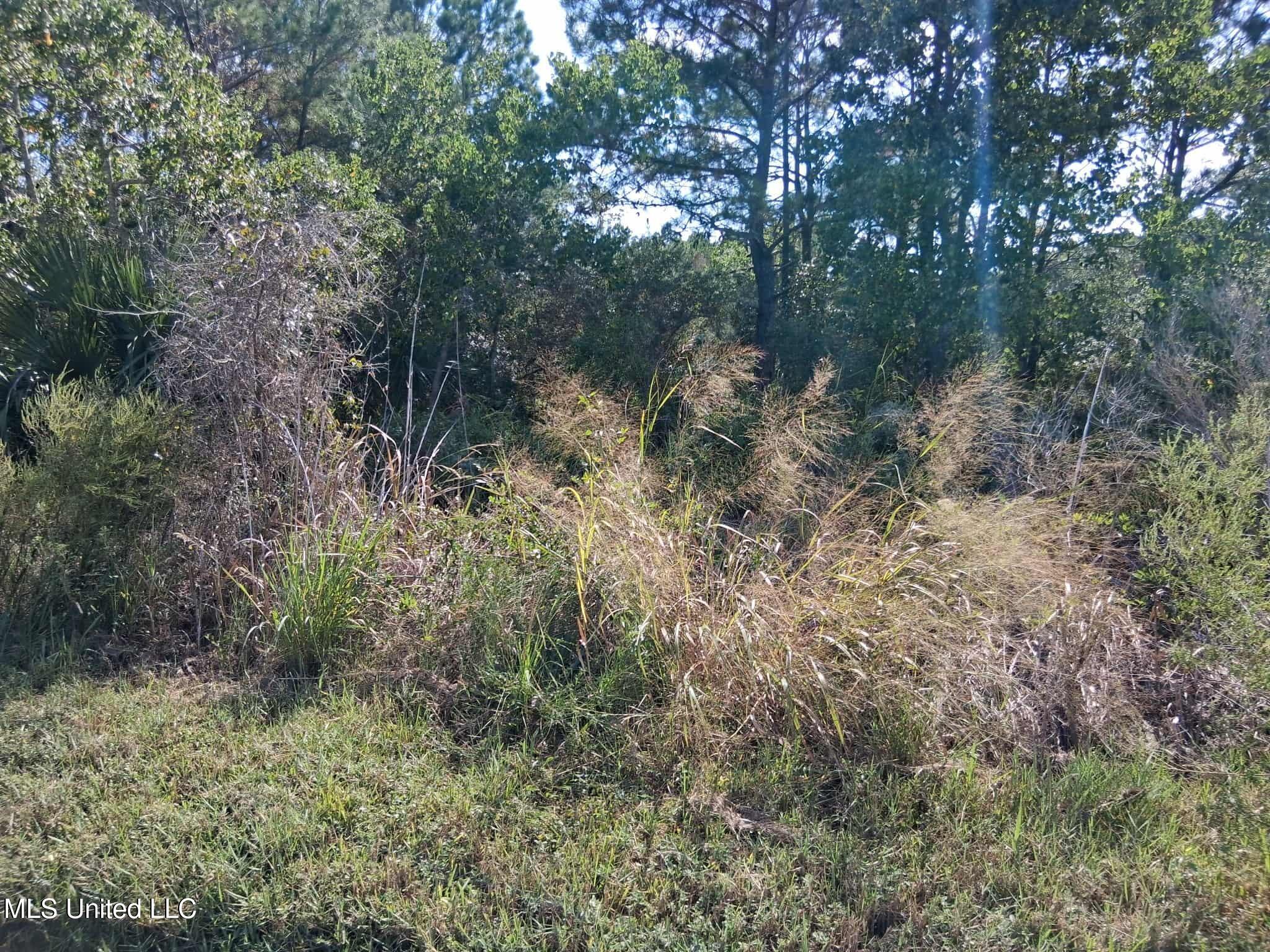 1-5 Mallard Street Bay St. Louis, MS 39520 - Photo 11 of 15 1921ad61-1018-4ee8-a160-1a11b052e33c