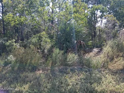 $115,000 | 1-5 Mallard Street, Bay St. Louis, MS 39520