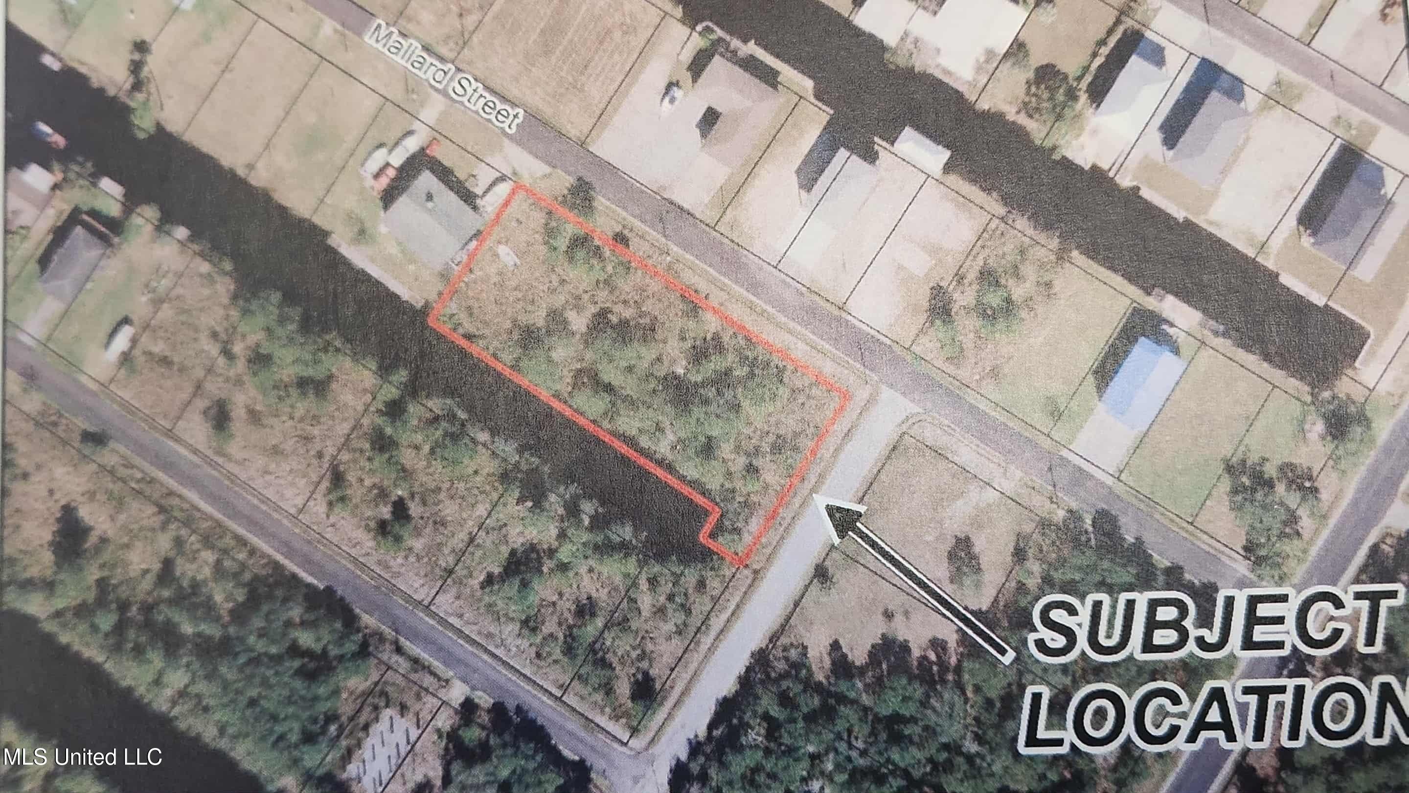 1-5 Mallard Street Bay St. Louis, MS 39520 - Photo 4 of 15 06029385-8e02-4cb9-8c9c-e780cc1313ab