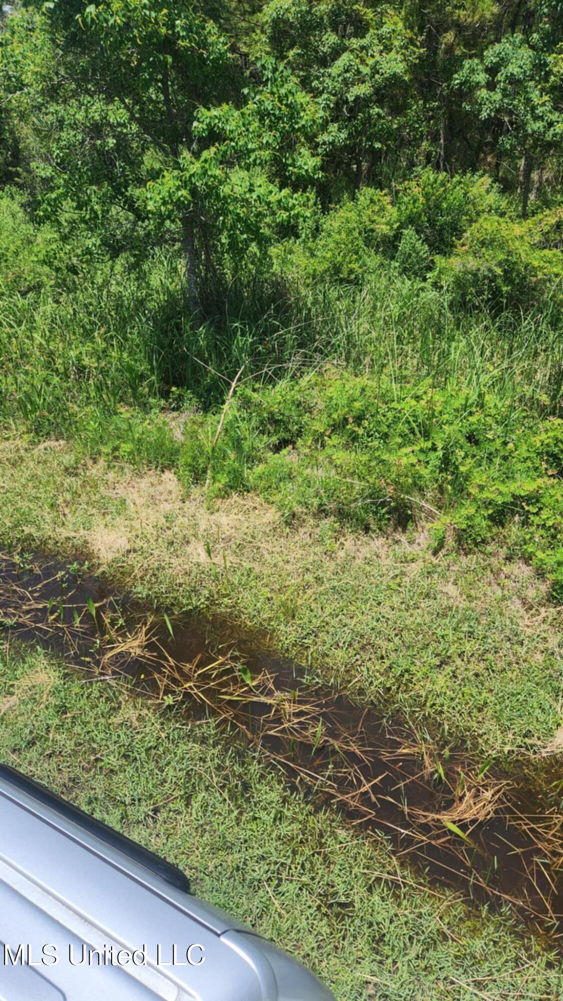 1-5 Mallard Street Bay St. Louis, MS 39520 - Photo 6 of 15 c85f27cd-ea6d-44db-b217-ad0143a648be