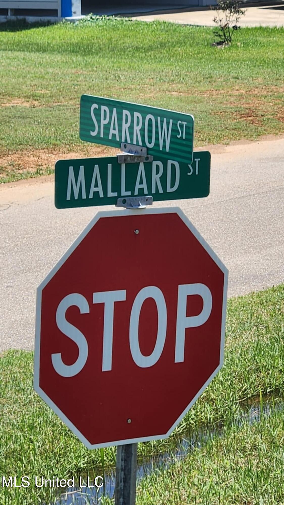 1-5 Mallard Street Bay St. Louis, MS 39520 - Photo 7 of 15 c4336097-7031-4252-abfc-c3ab28b609c1