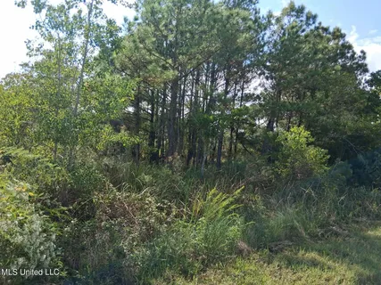 $115,000 | 1-5 Mallard Street, Bay St. Louis, MS 39520