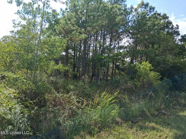 $115,000 | 1-5 Mallard Street, Bay St. Louis, MS 39520