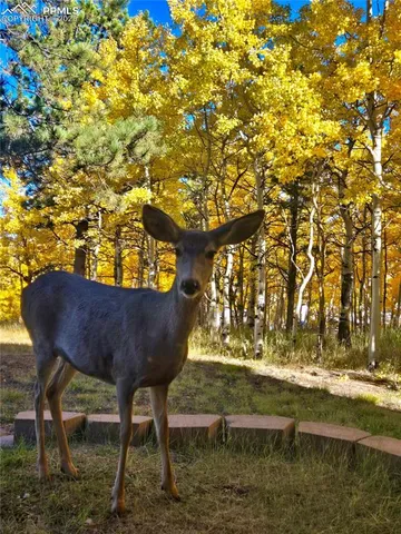 a view of house with yard and sitting area