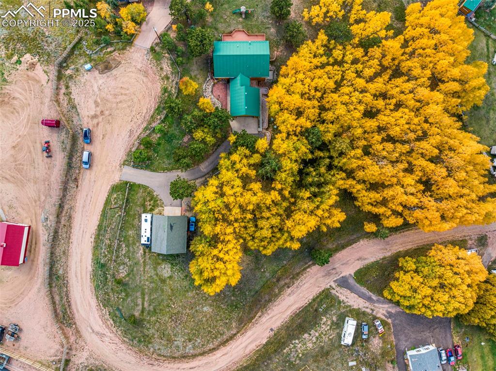162 Ridge Top Drive Divide, CO 80814 - Photo 45 of 50 a view of entryway
