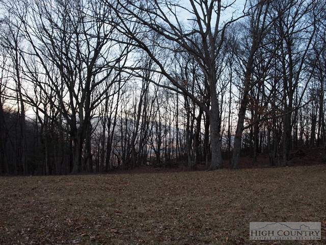 2424 Bald Knob Road Sparta, NC 28675 - Photo 19 of 31 Gallery Image 19