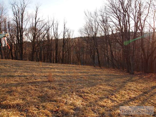 2424 Bald Knob Road Sparta, NC 28675 - Photo 20 of 31 Gallery Image 20