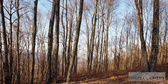 2424 Bald Knob Road Sparta, NC 28675 - Photo 21 of 31 Gallery Image 21