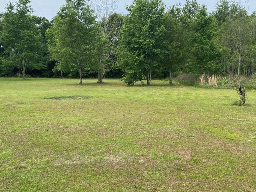 4846 Johnson Road South Valdosta, GA 31601 - Photo 13 of 13 Gallery Image 13