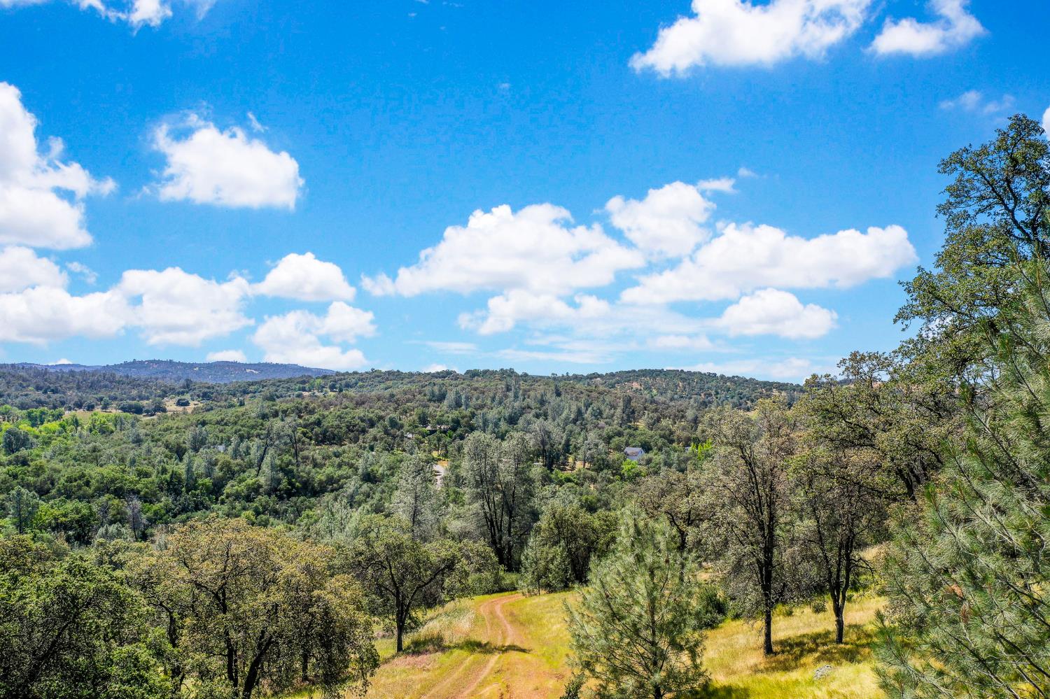 29 Township Road Browns Valley, CA 95918 - Photo 31 of 62 Gallery Image 31