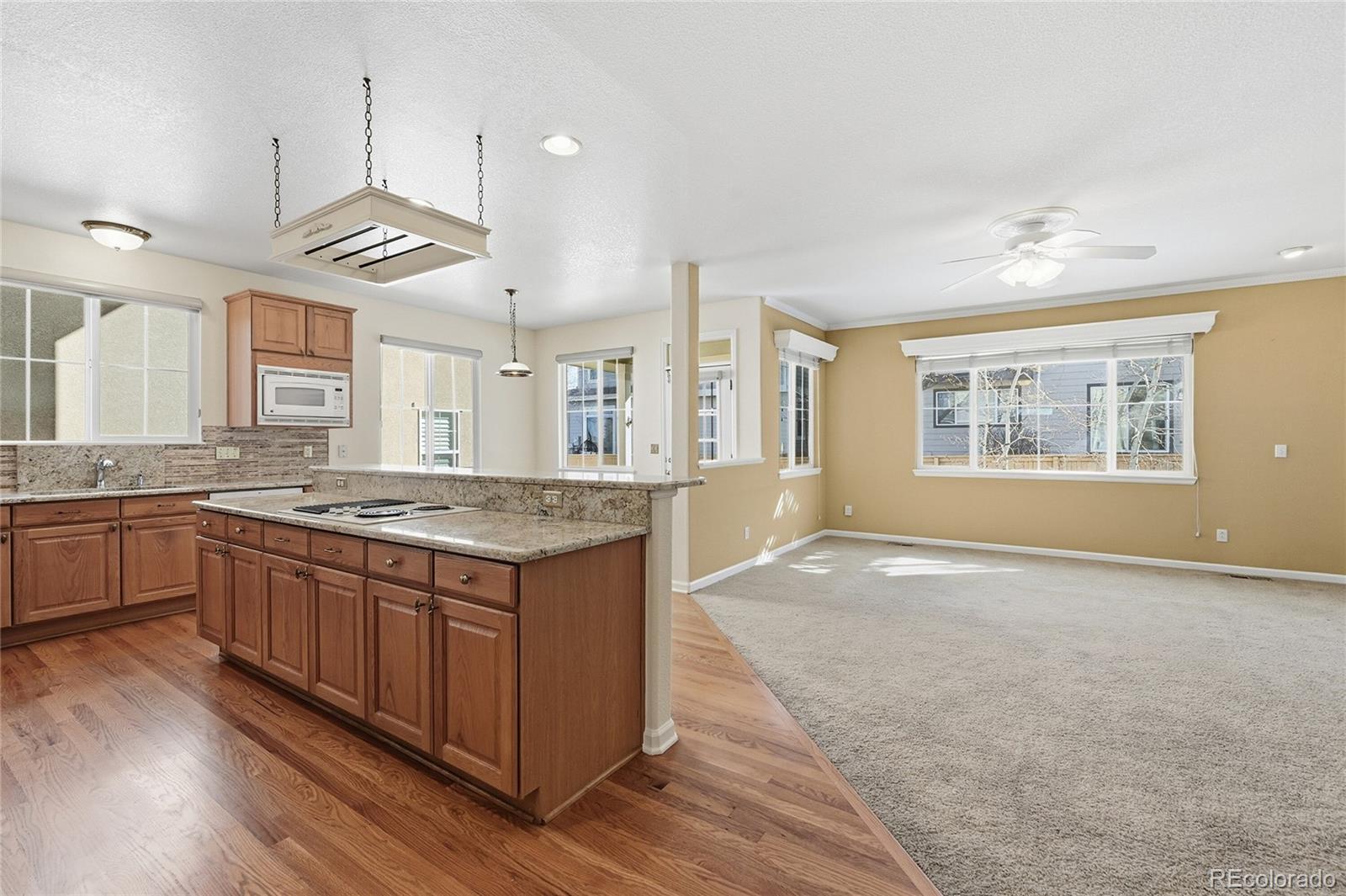 10584 Cliffrose Way Highlands Ranch, CO 80130 - Photo 8 of 36