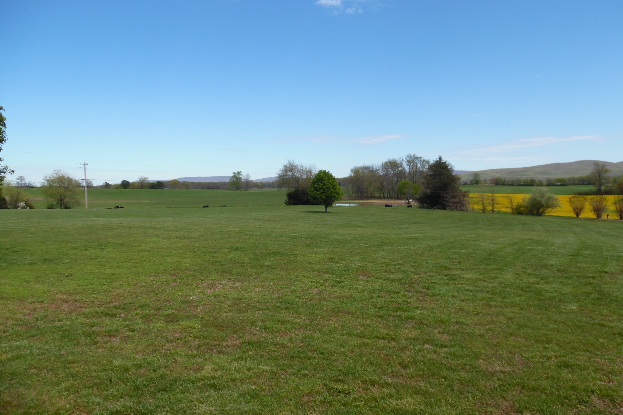 237 Pleasant Knoll Road Manchester, TN 37355 - Photo 23 of 24 a view of a field with an ocean