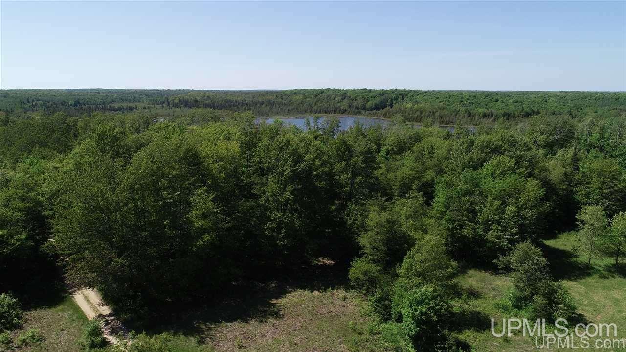 Tbd Tee Lake Road, Unit PARCEL 5 Germfask, MI 49836 - Photo 3 of 17 Gallery Image 3