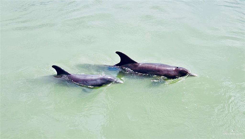 142 East Bonnet Circle Port Isabel, TX 78578 - Photo 12 of 26