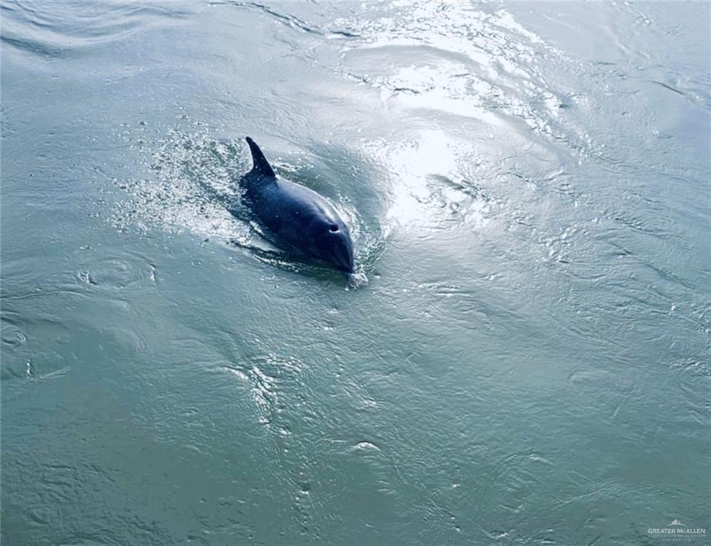 142 East Bonnet Circle Port Isabel, TX 78578 - Photo 13 of 26