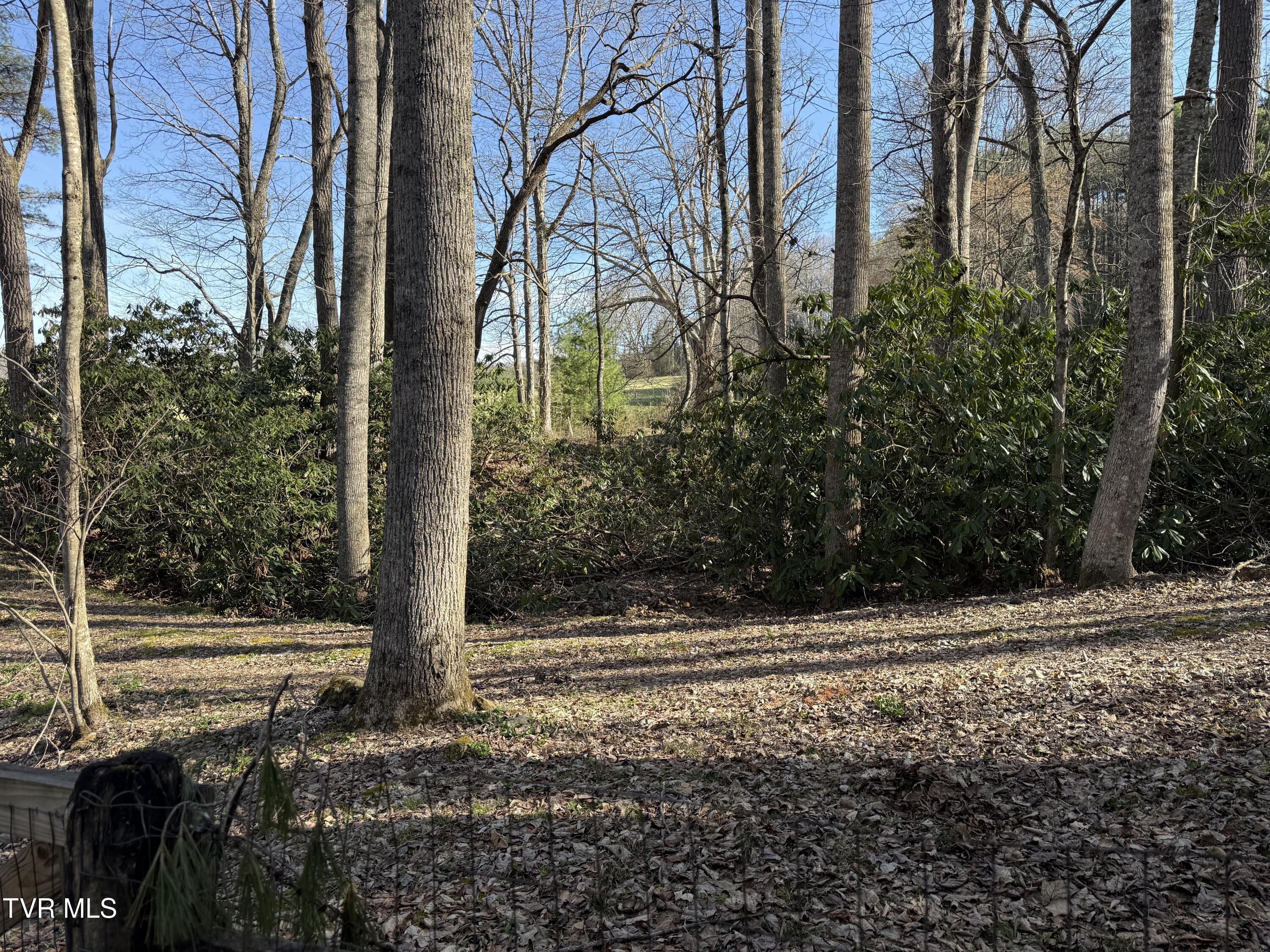 1770 Red Brush Road Mountain City, TN 37683 - Photo 12 of 26 1770 Redbrush 8