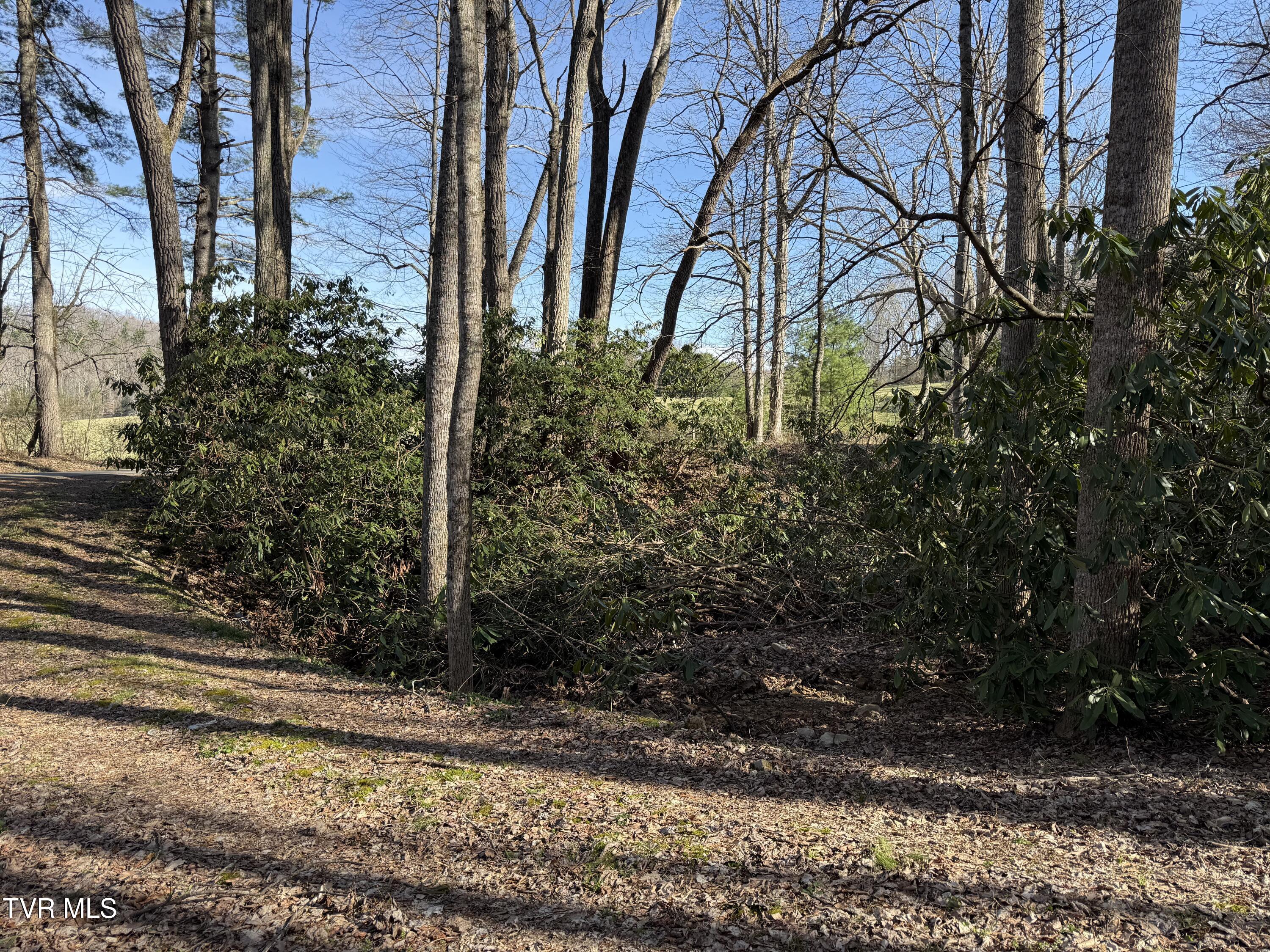 1770 Red Brush Road Mountain City, TN 37683 - Photo 14 of 26 1770 Redbrush 2