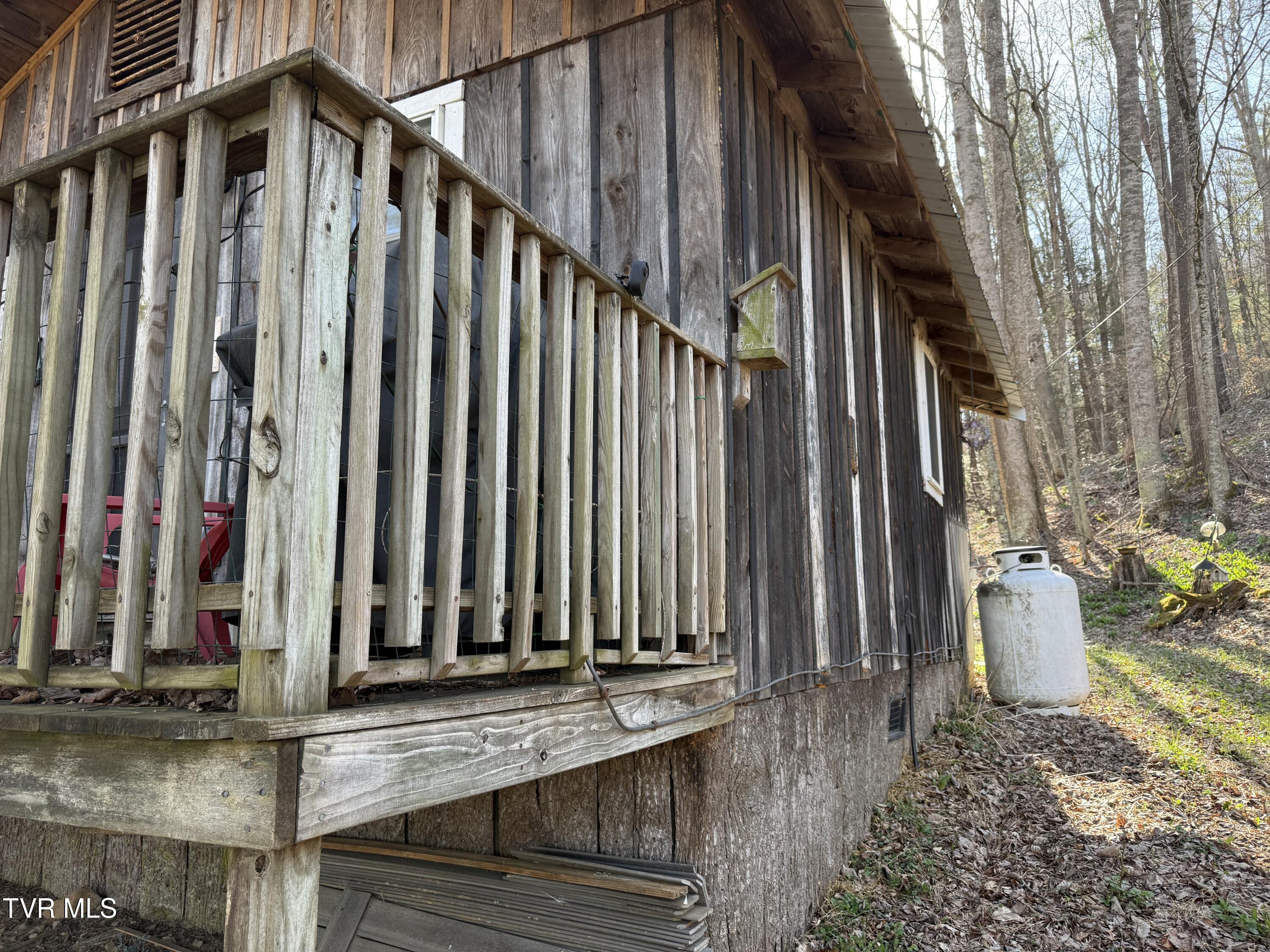 1770 Red Brush Road Mountain City, TN 37683 - Photo 16 of 26 1770 Redbrush 21