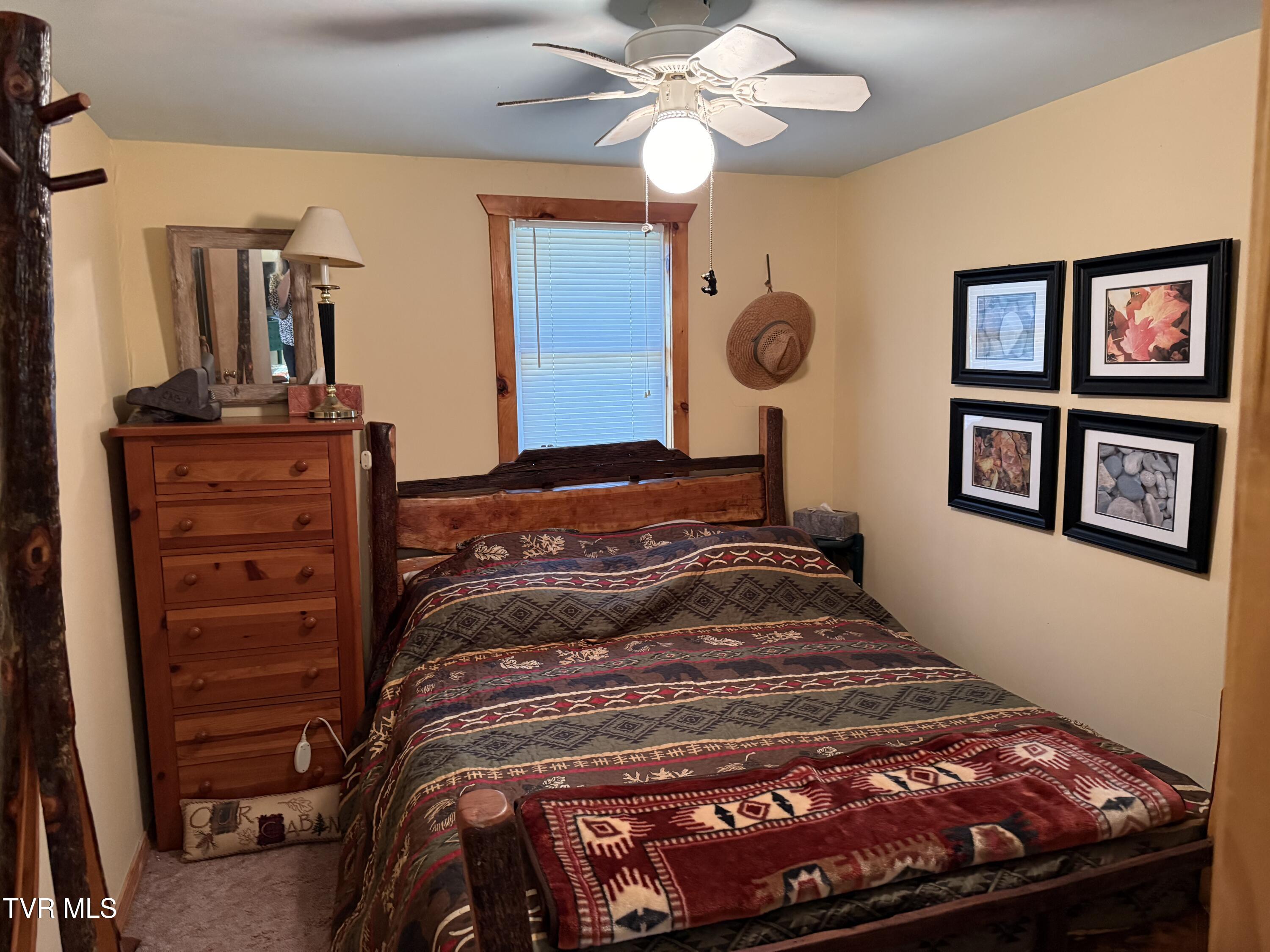 1770 Red Brush Road Mountain City, TN 37683 - Photo 22 of 26 1770 Redbrush 18