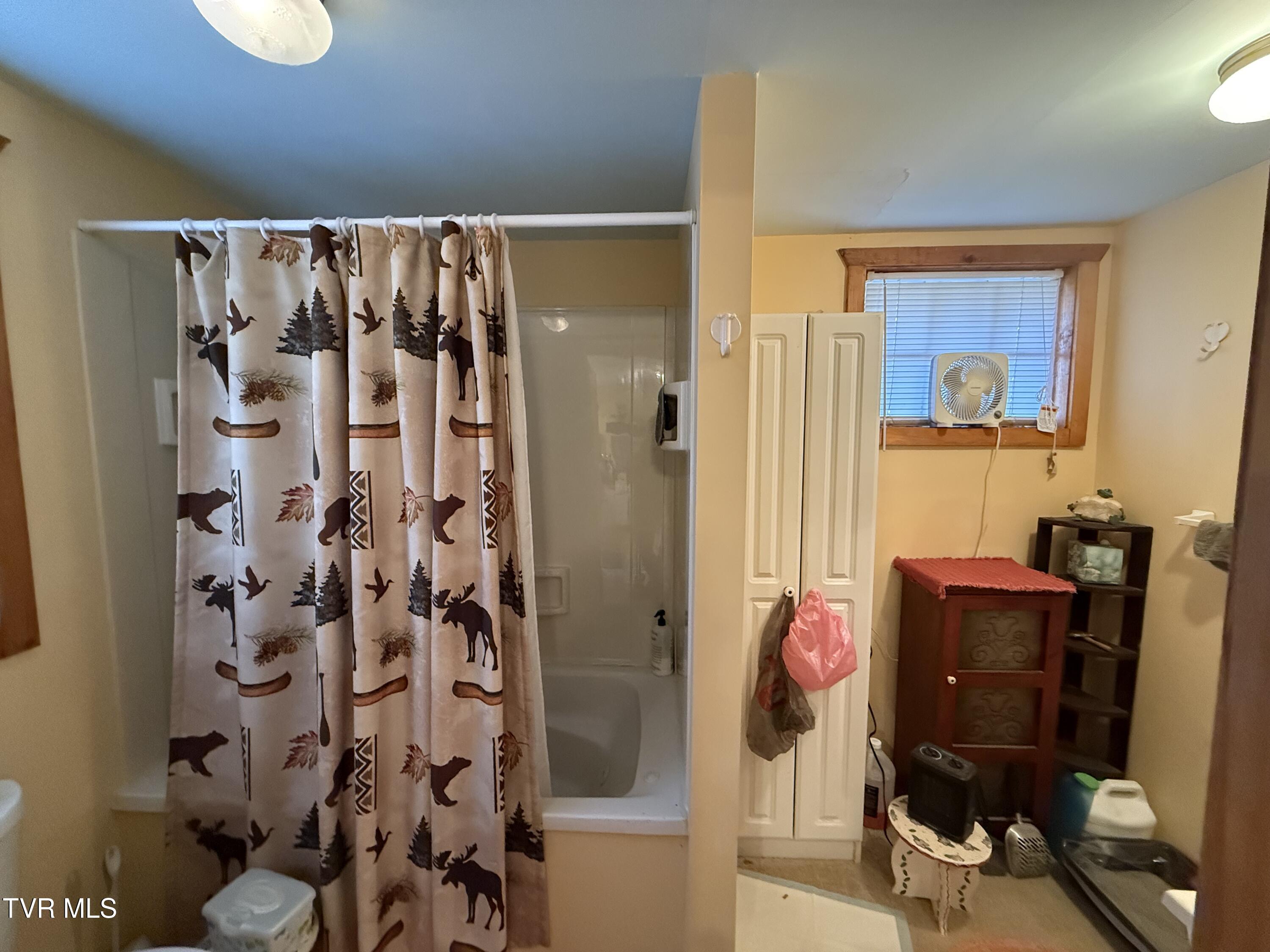 1770 Red Brush Road Mountain City, TN 37683 - Photo 26 of 26 1770 Redbrush 27