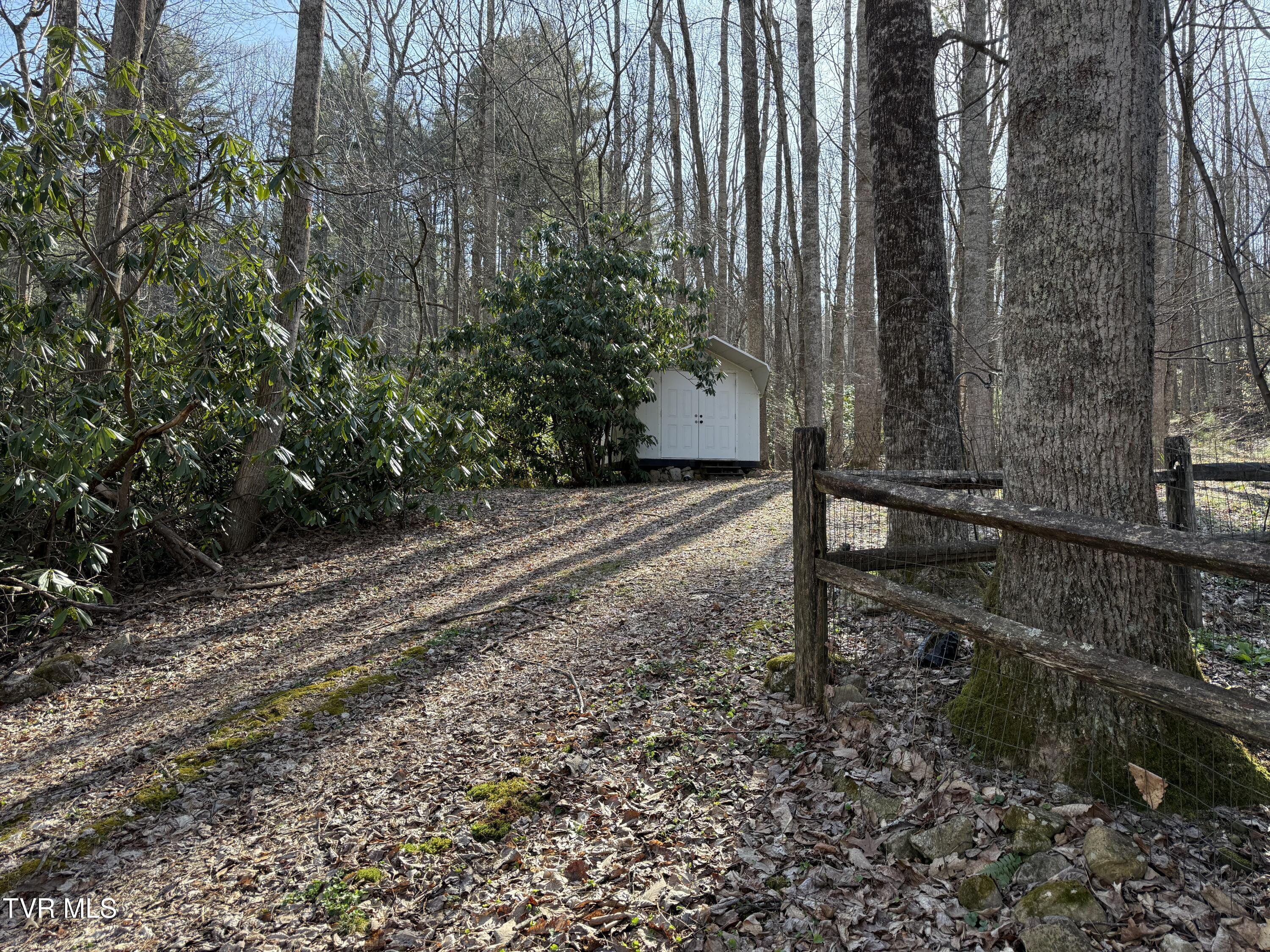 1770 Red Brush Road Mountain City, TN 37683 - Photo 4 of 26 1770 Redbrush 1