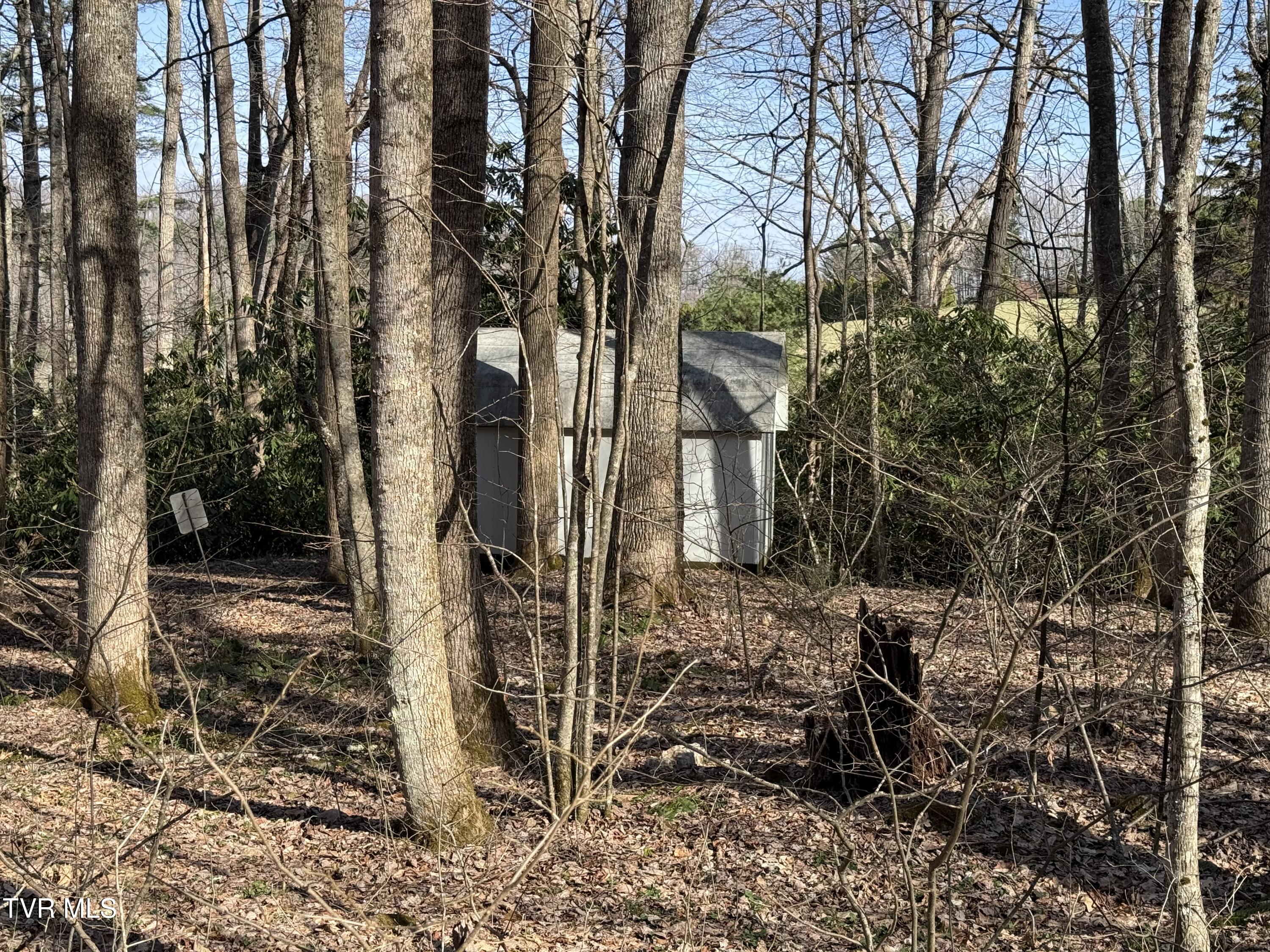 1770 Red Brush Road Mountain City, TN 37683 - Photo 5 of 26 1770 Redbrush 3