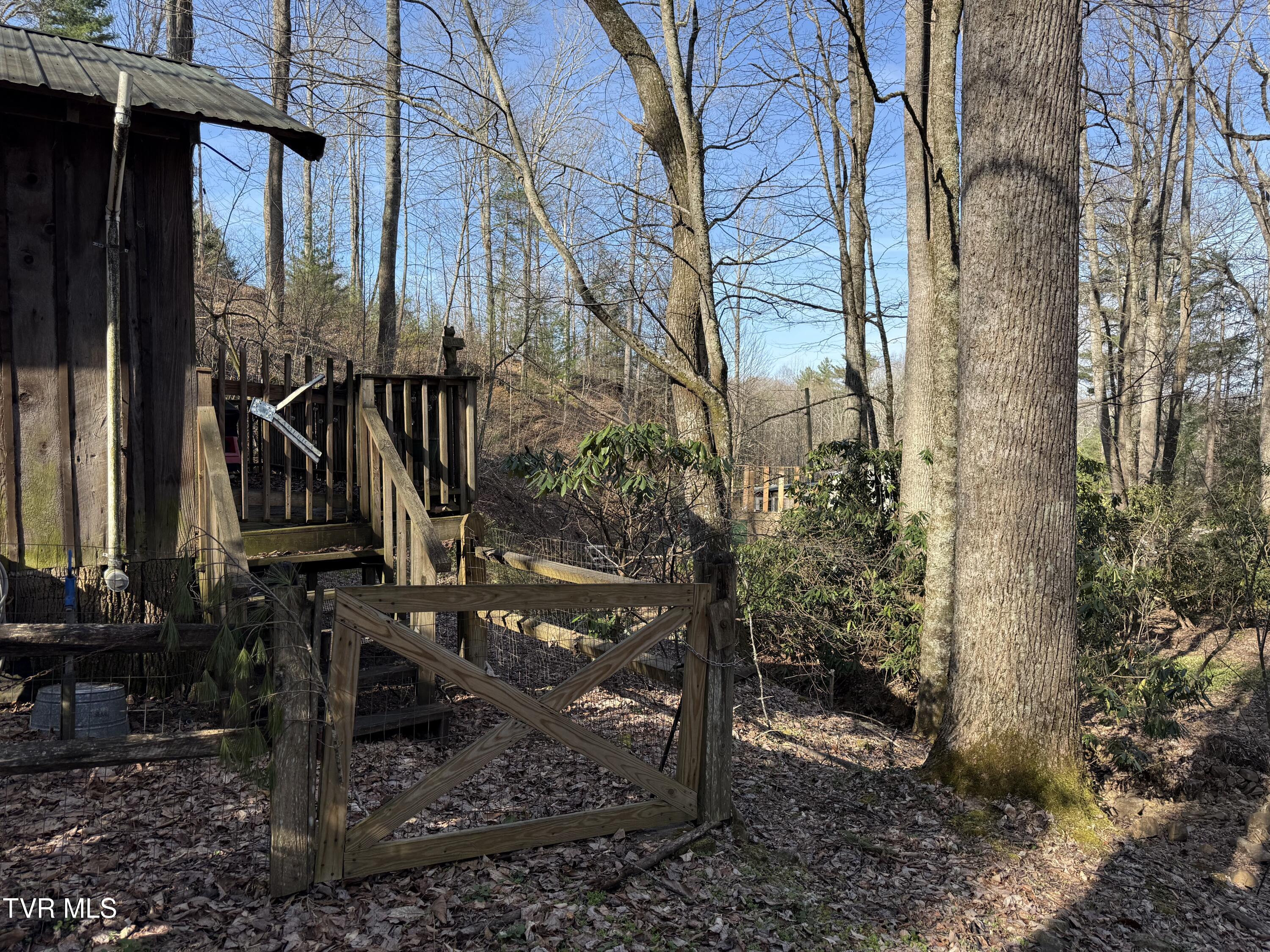 1770 Red Brush Road Mountain City, TN 37683 - Photo 6 of 26 1770 Redbrush 10