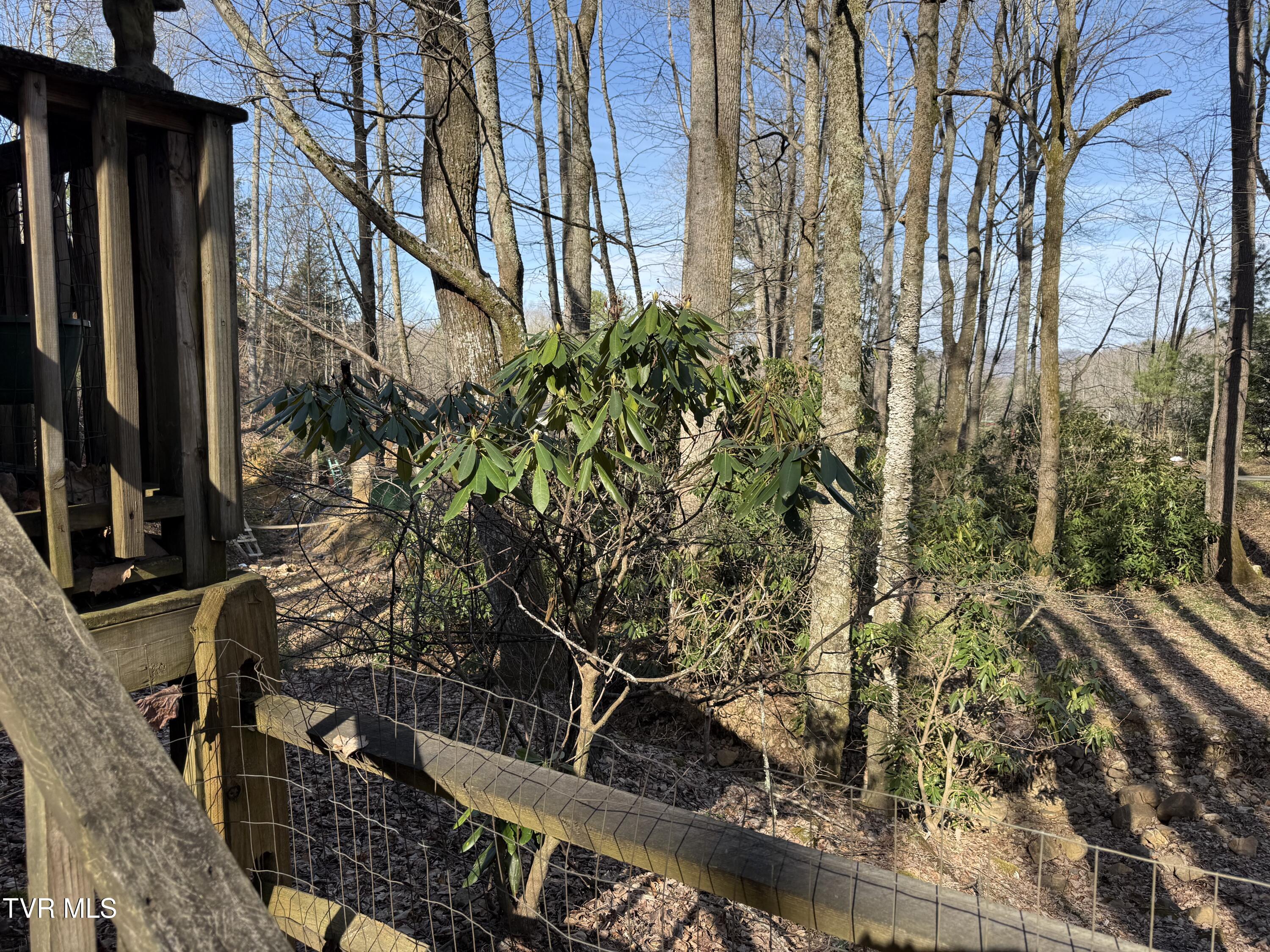 1770 Red Brush Road Mountain City, TN 37683 - Photo 7 of 26 1770 Redbrush 11