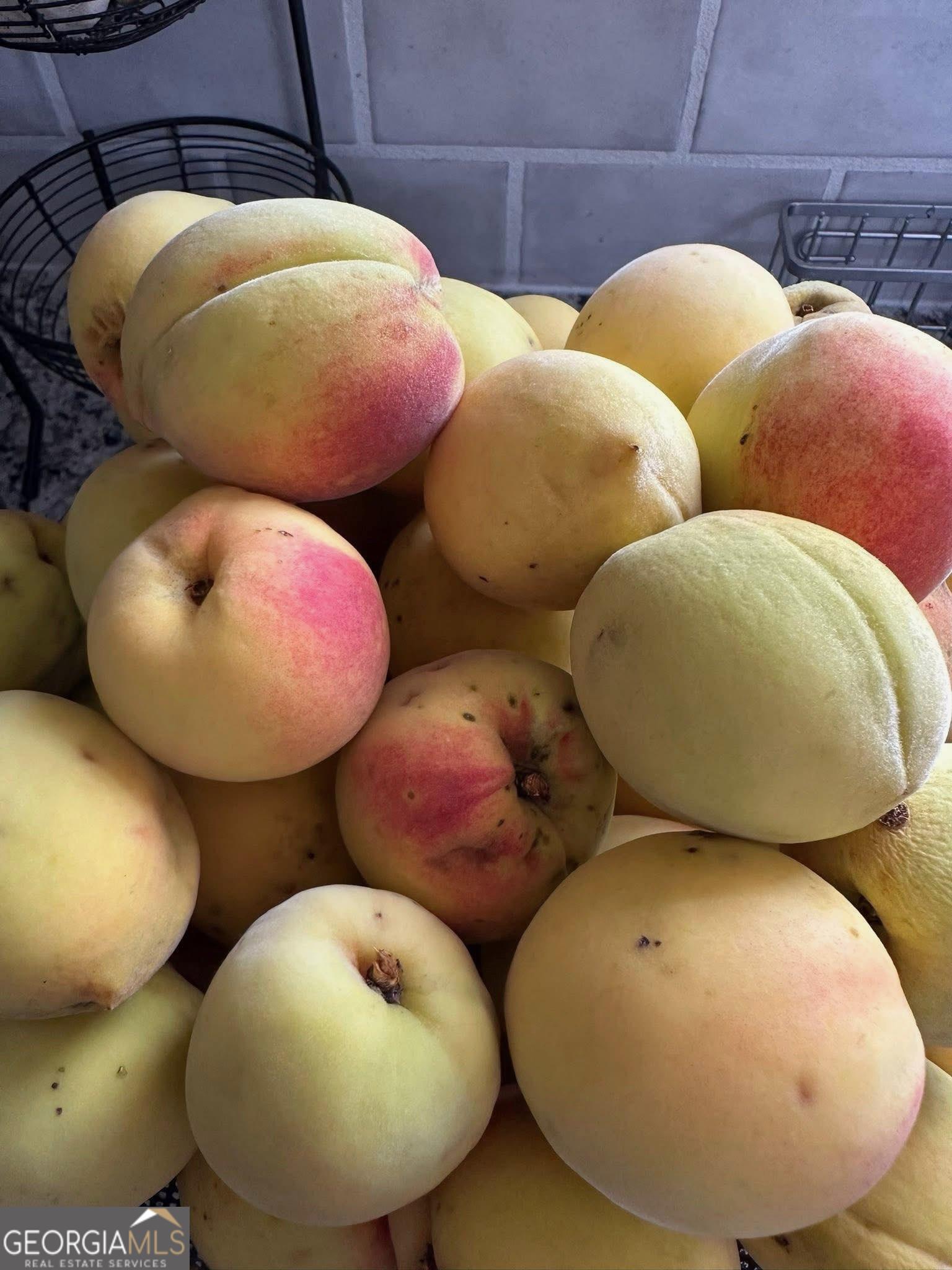 4196 Mud Creek Road Cornelia, GA 30531 - Photo 40 of 42