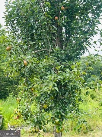 $564,900 | 4196 Mud Creek Road, Cornelia, GA 30531