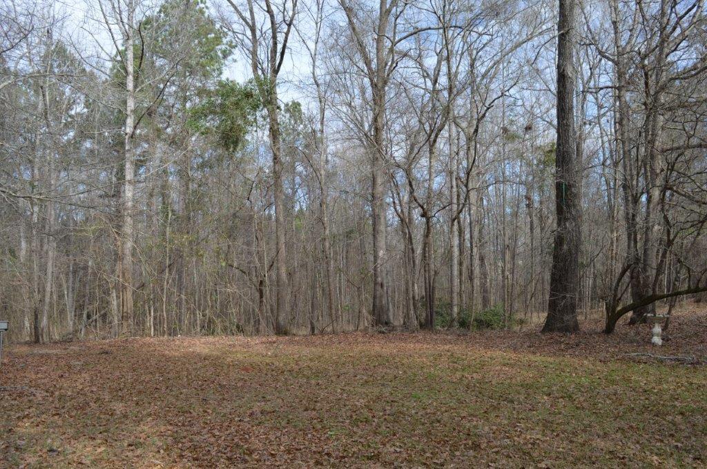 163 Oliver Greene Road Gray, GA 31032 - Photo 19 of 19 a view of a yard with large trees