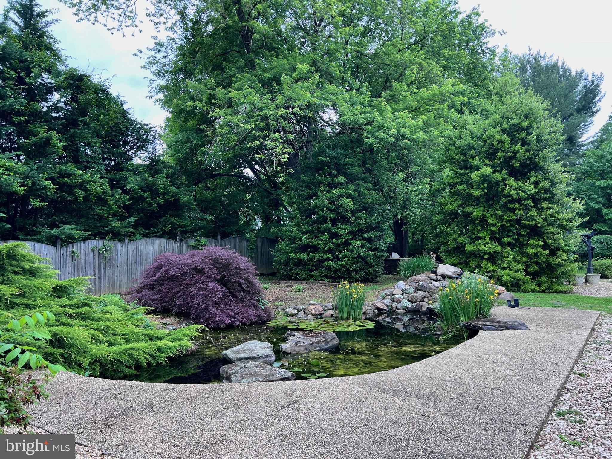 15729 Holly Grove Road Silver Spring, MD 20905 - Photo 5 of 37 Pond