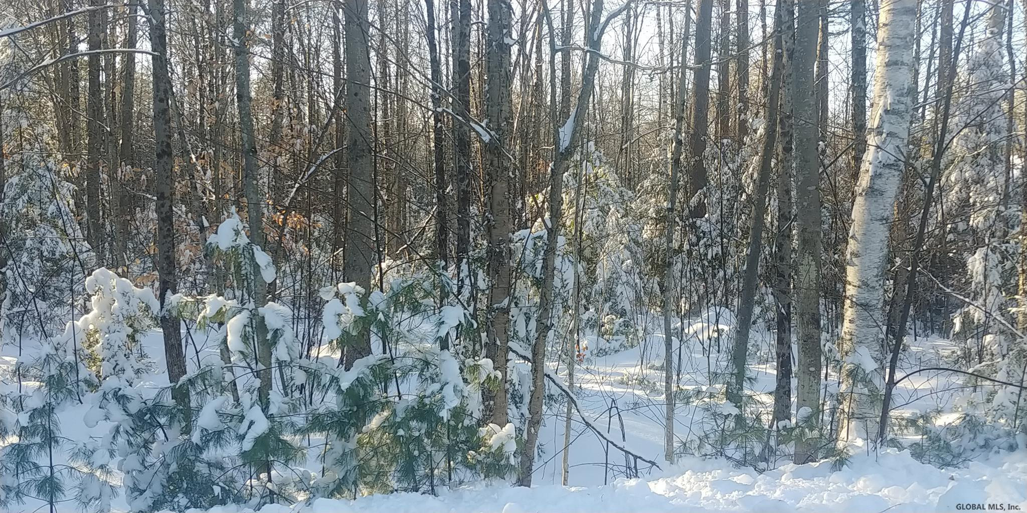 6 Pinewoods Road Chestertown, NY 12817 - Photo 1 of 5 Photo 1