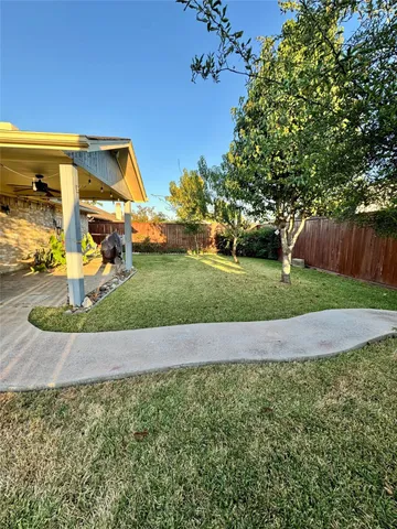 a view of a backyard