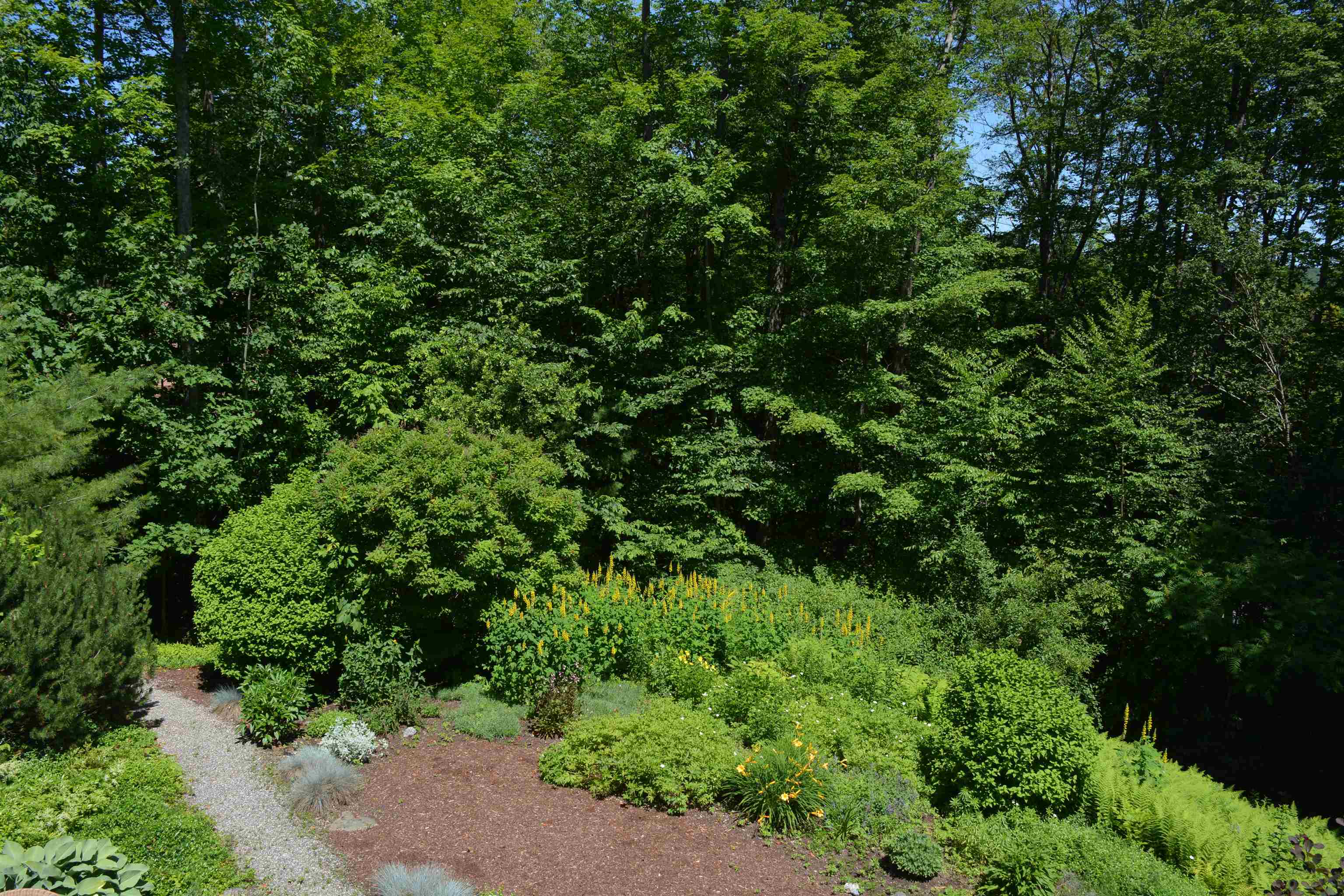 8 Turner Brae Road, Unit BRAE Grantham, NH 03753 - Photo 30 of 59 Gallery Image 30