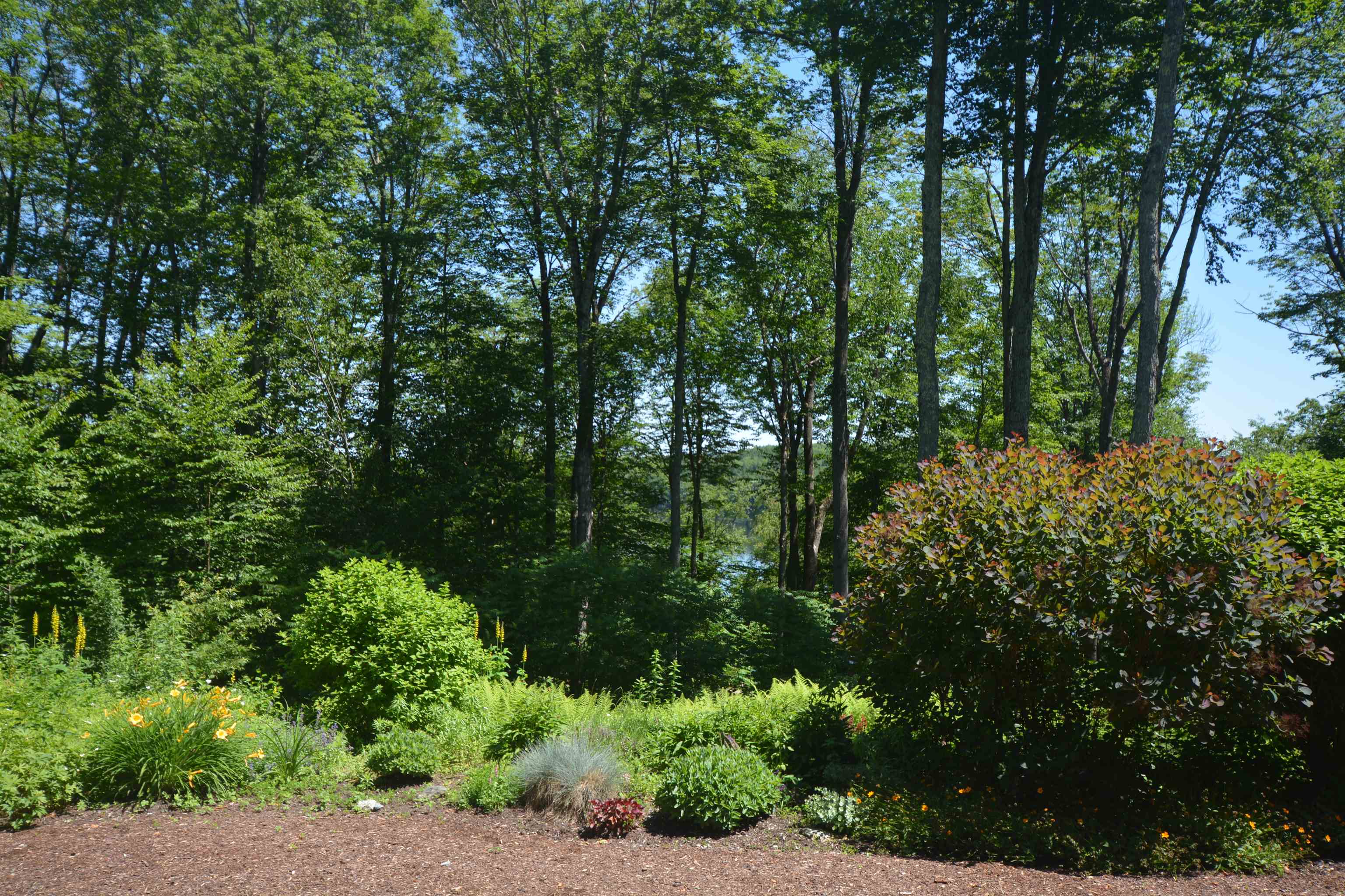 8 Turner Brae Road, Unit BRAE Grantham, NH 03753 - Photo 58 of 59 Gallery Image 58
