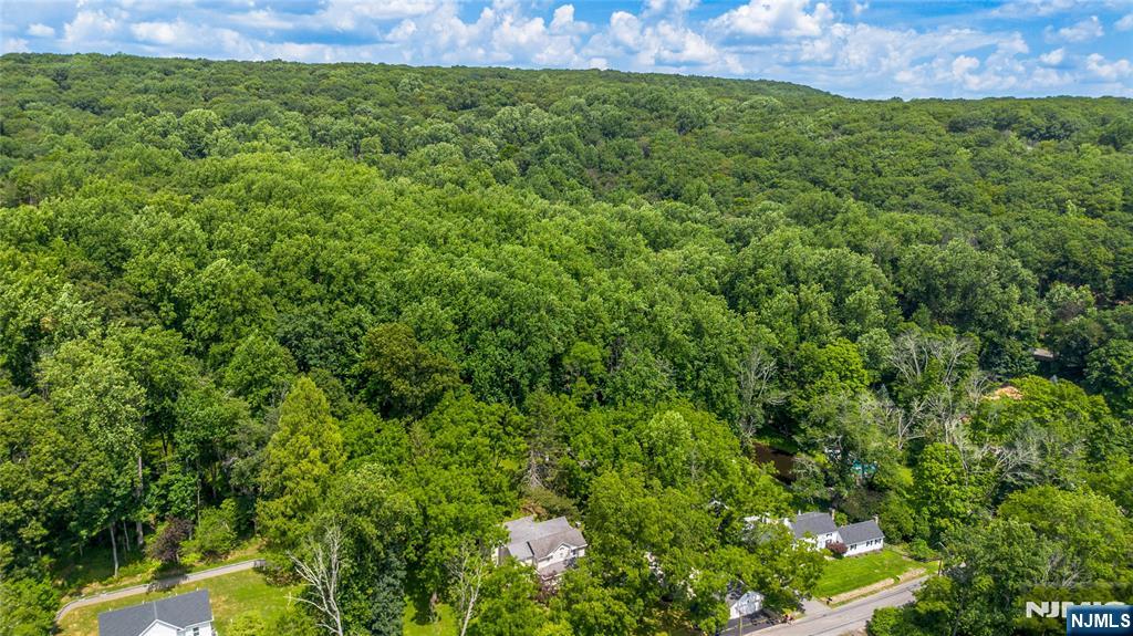 159 Mountainside Road Mendham, NJ 07945 - Photo 43 of 43 Gallery Image 43