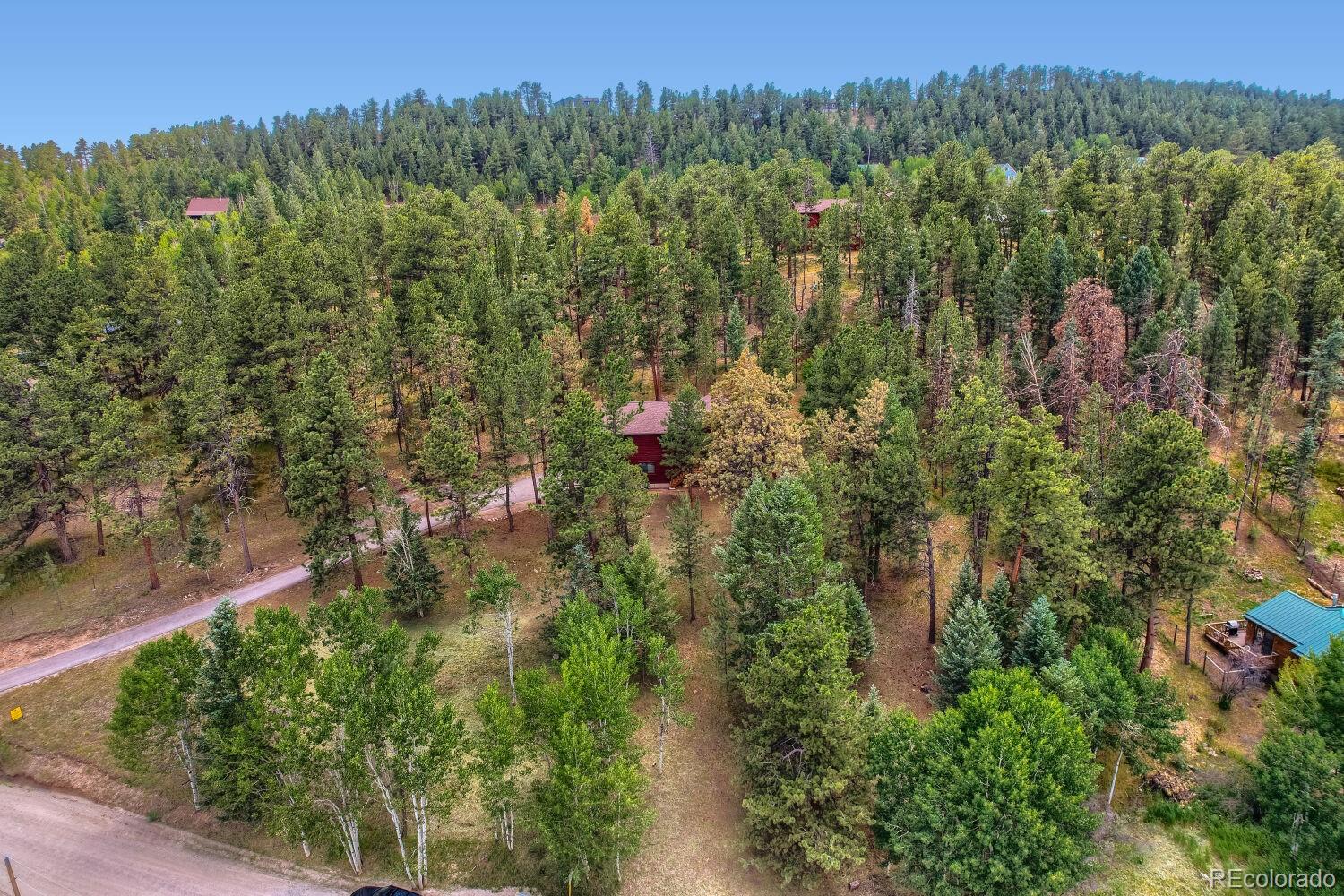 715 Mockingbird Trail Bailey, CO 80421 - Photo 30 of 34