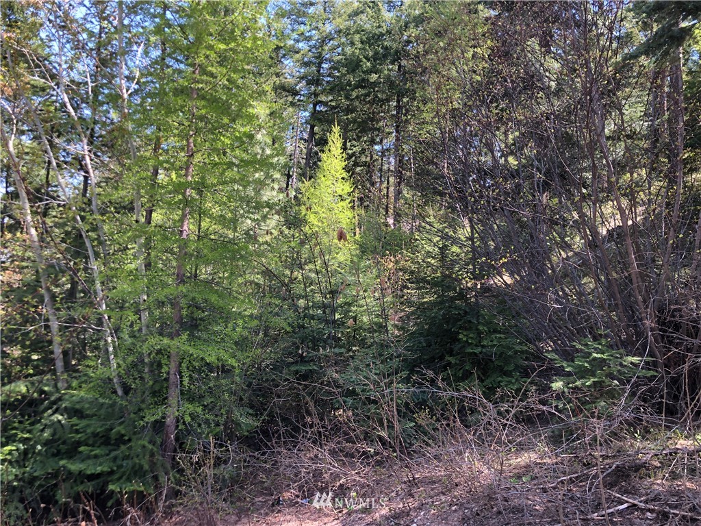 0 Forest Ridge Drive Wenatchee, WA 98801 - Photo 2 of 12 Gallery Image 2