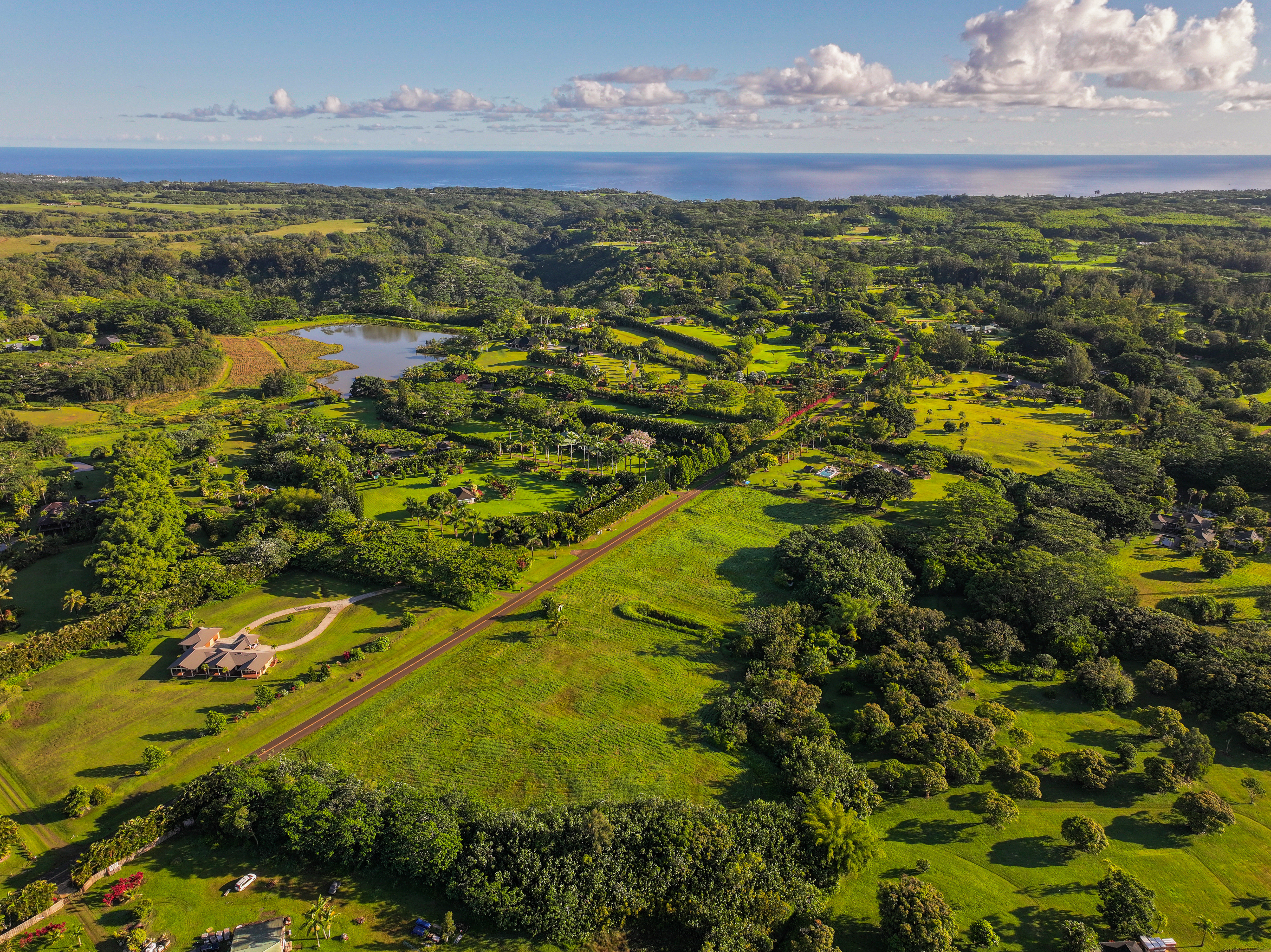 4 Kahiliholo Road, Unit 4 Kilauea, HI 96754 - Photo 2 of 13 a view of lake view and mountain view