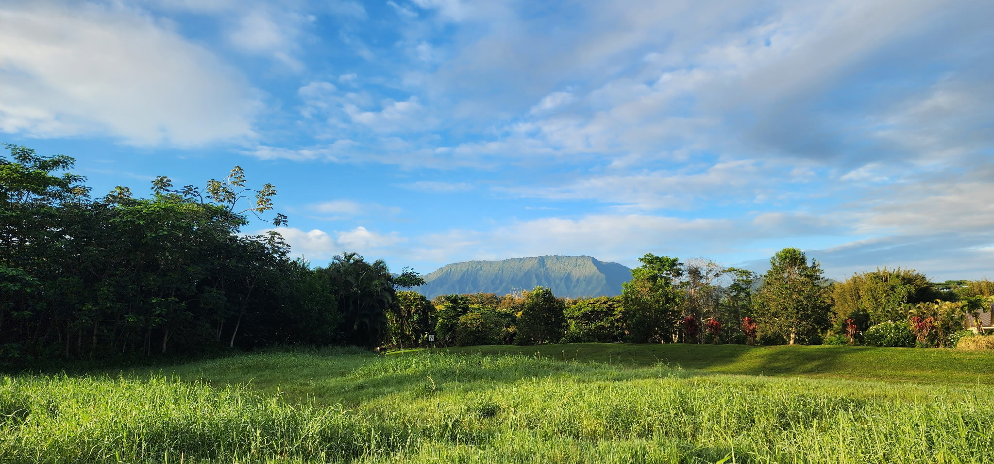 4 Kahiliholo Road, Unit 4 Kilauea, HI 96754 - Photo 4 of 13 a view of a grassy field with trees in the background