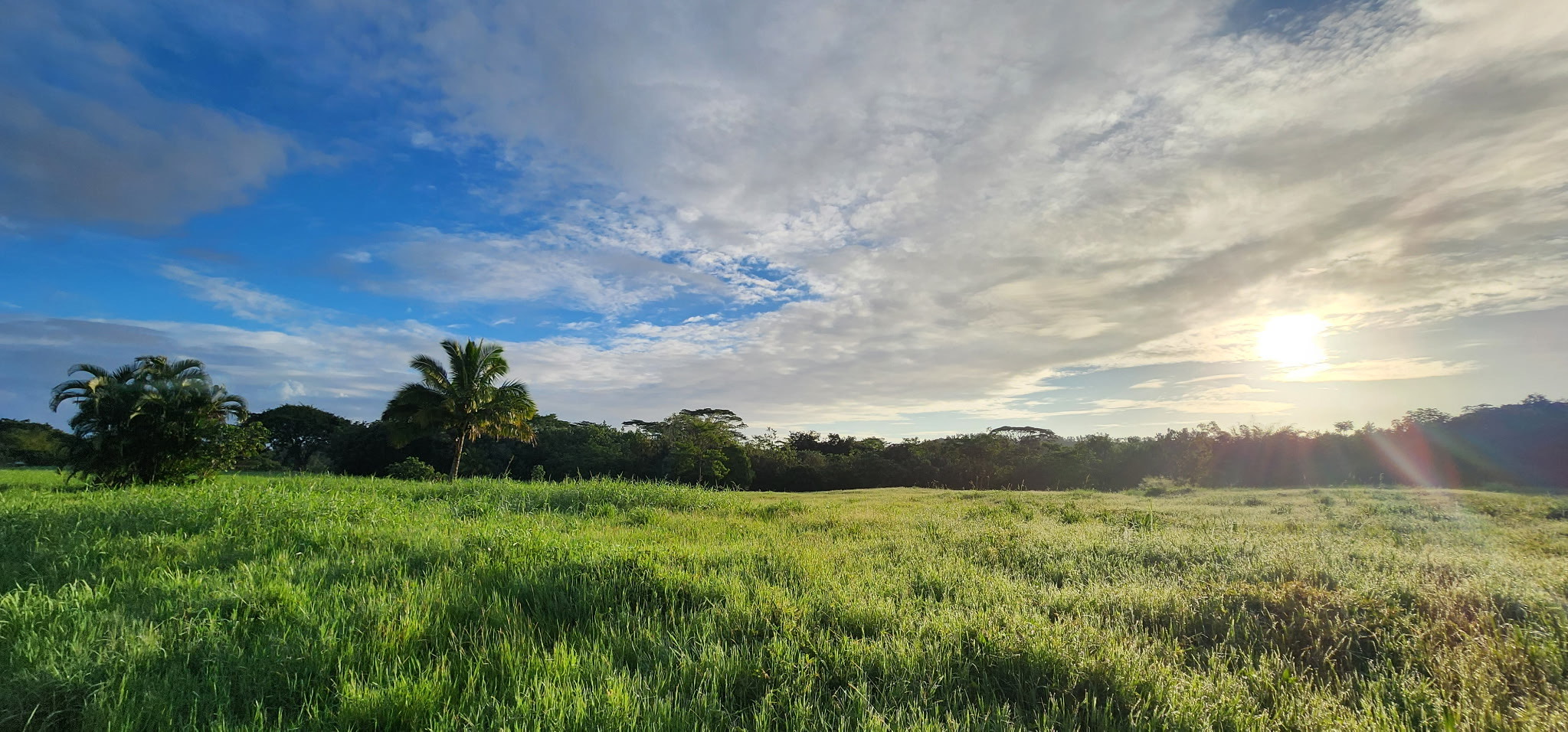 4 Kahiliholo Road, Unit 4 Kilauea, HI 96754 - Photo 6 of 13 a view of a lush green outdoor space with a lake view