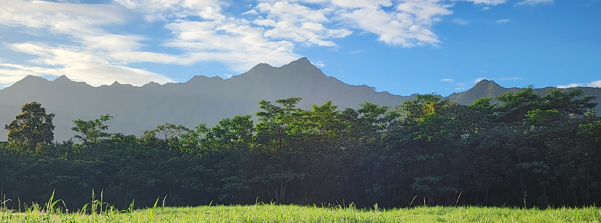 4 Kahiliholo Road, Unit 4 Kilauea, HI 96754 - Photo 7 of 13 a view of a yard