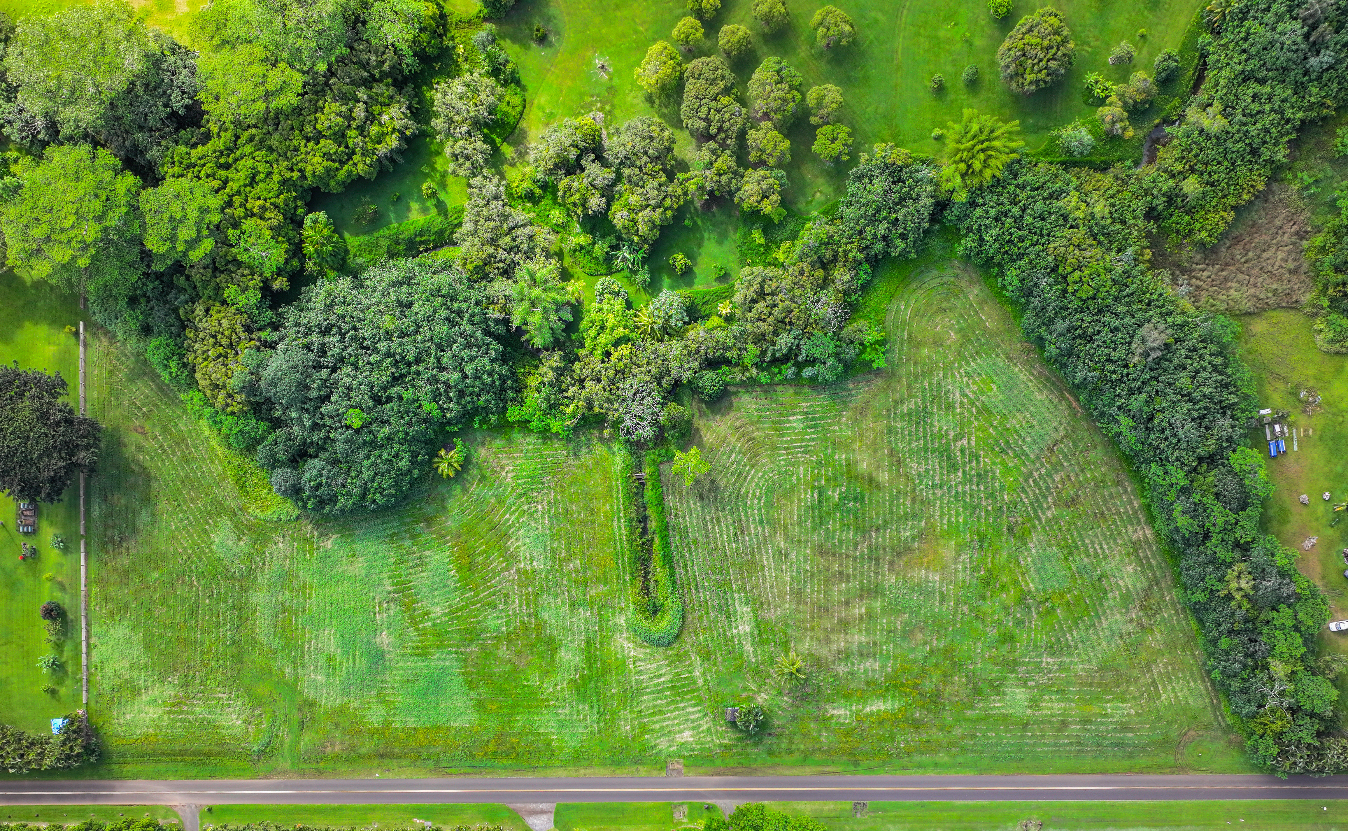 4 Kahiliholo Road, Unit 4 Kilauea, HI 96754 - Photo 9 of 13 a view of backyard with green space
