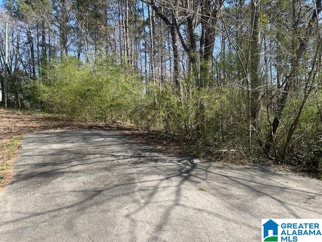 1605 West Riverview Road, Unit 1 Trussville, AL 35173 - Photo 3 of 3