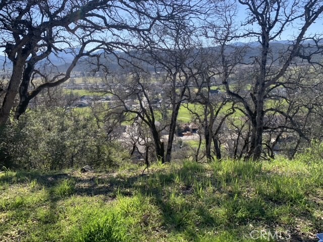 18539 Lakeridge Circle Hidden Valley Lake, CA 95467 - Photo 1 of 6 a backyard of a house with lots of green space